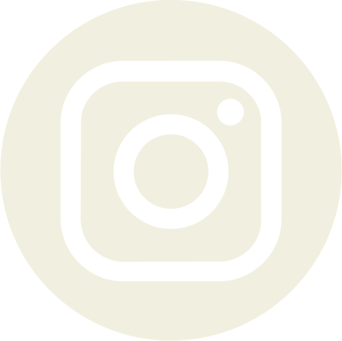 Icona Instagram